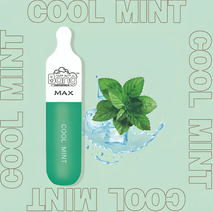Bang Vape Max 5000 Oplaadbaar Wegwerpvape - Cool Mint: De Toekomst van Duurzaam Vapen in 2025