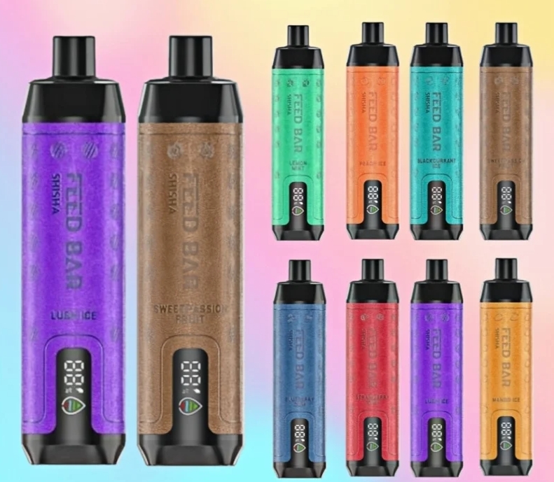 Vapsolo Feed Bar Shisha 15000 Puffs - Druiven Munt: Technologie Ontmoet Smaakverfijning